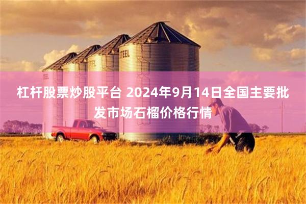 杠杆股票炒股平台 2024年9月14日全国主要批发市场石榴价格行情