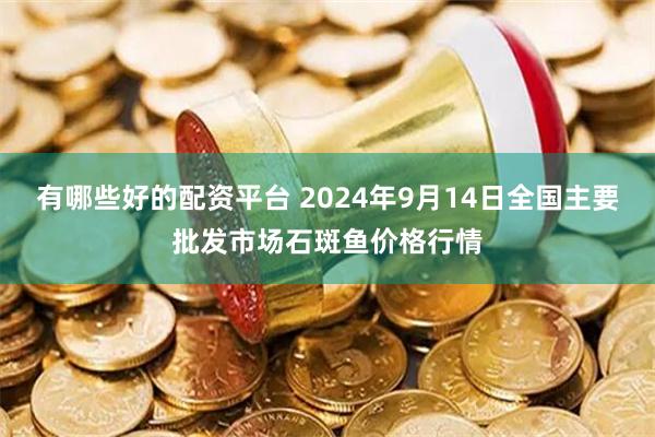 有哪些好的配资平台 2024年9月14日全国主要批发市场石斑鱼价格行情