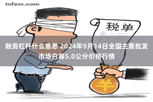 融资杠杆什么意思 2024年9月14日全国主要批发市场白蒜5.0公分价格行情