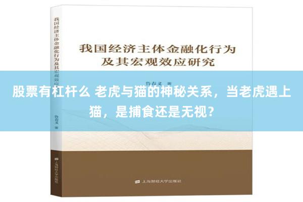 股票有杠杆么 老虎与猫的神秘关系，当老虎遇上猫，是捕食还是无视？