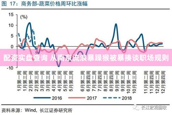 配资实盘查询 从南京流浪暴躁猴被暴揍谈职场规则