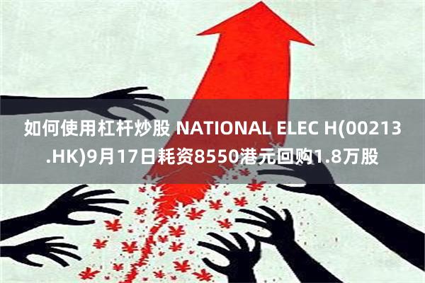 如何使用杠杆炒股 NATIONAL ELEC H(00213.HK)9月17日耗资8550港元回购1.8万股