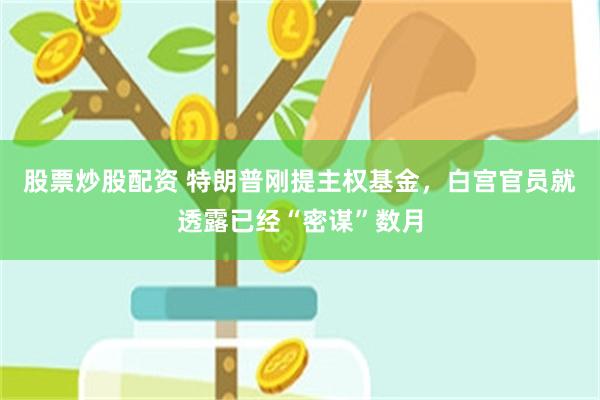 股票炒股配资 特朗普刚提主权基金，白宫官员就透露已经“密谋”数月