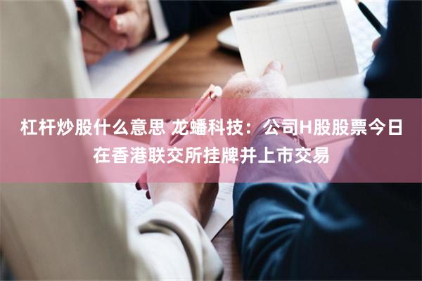 杠杆炒股什么意思 龙蟠科技：公司H股股票今日在香港联交所挂牌并上市交易