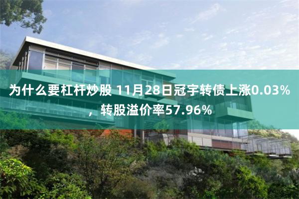 为什么要杠杆炒股 11月28日冠宇转债上涨0.03%，转股溢价率57.96%