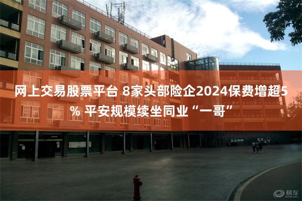 网上交易股票平台 8家头部险企2024保费增超5% 平安规模续坐同业“一哥”