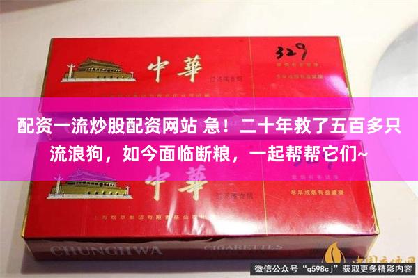 配资一流炒股配资网站 急！二十年救了五百多只流浪狗，如今面临断粮，一起帮帮它们~