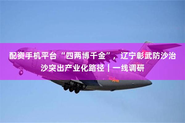 配资手机平台 “四两博千金”，辽宁彰武防沙治沙突出产业化路径｜一线调研